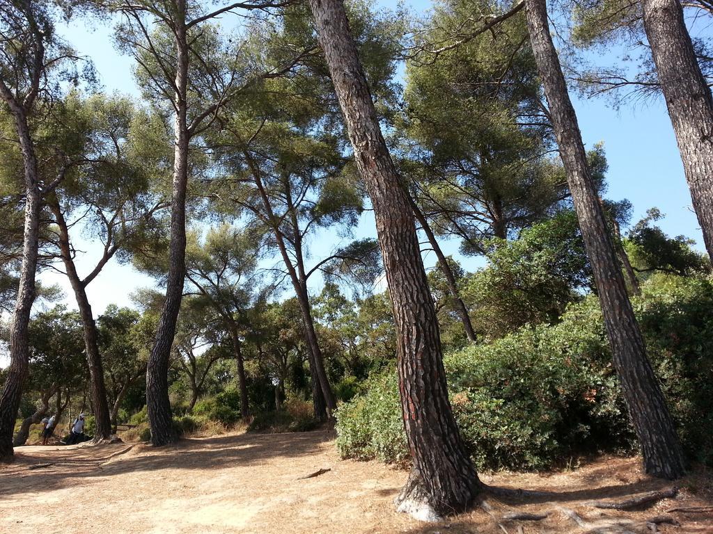Bel Appart Style Vintage Vue Mer La Londe-les-Maures Habitación foto