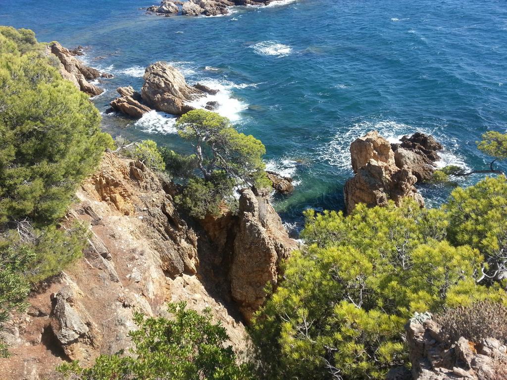 Bel Appart Style Vintage Vue Mer La Londe-les-Maures Exterior foto
